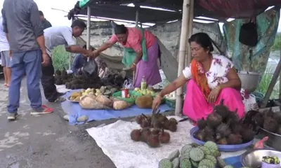 manipur to boost local makhana cultivation with new central scheme