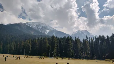 pahalgam terror attack  nia may file charge sheet today