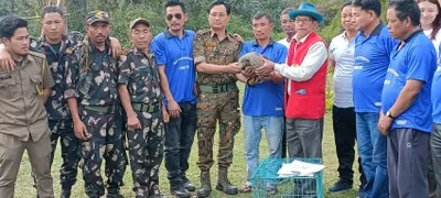 arunachal  rescued chinese pangolin handed over to daying ering wildlife sanctuary