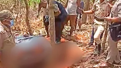 three from assam charred to death in meghalaya