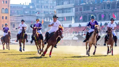 endangered heritage  the precarious future of manipur s original polo ponies 
