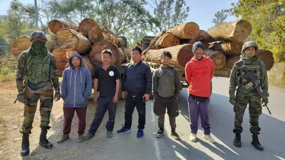 manipur  major timber smuggling attempt busted in chandel