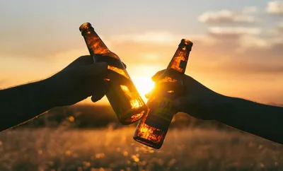 glow up with beer  unexpected skin benefits of hops