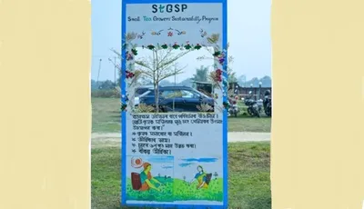 assam s small tea growers adopt sustainable practices with stgsp