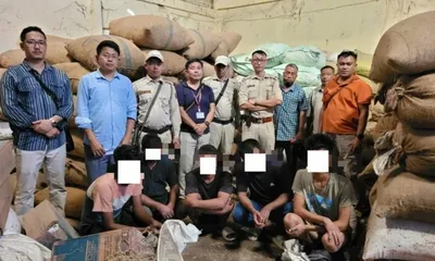 manipur customs seizes over 8 000 kg smuggled myanmarese betel nuts