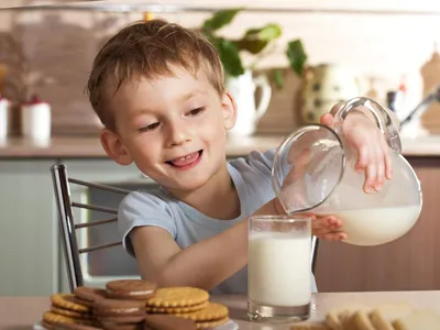 health benefits of drinking milk  myths vs facts