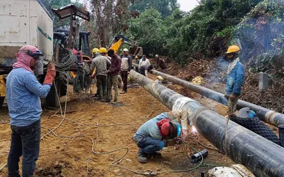 oil pipelines will fragment assam’s dehing patkai national park  say environmentalists