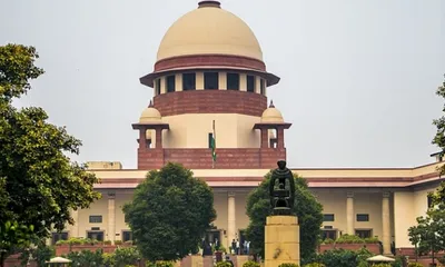 supreme court orders removal of stray dogs from public premises  cattle from highways