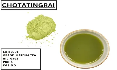 assam  chota tingrai tea estate produces country s first commercial matcha tea