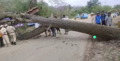 manipur grapples with nature’s wrath  storm leaves trail of destruction