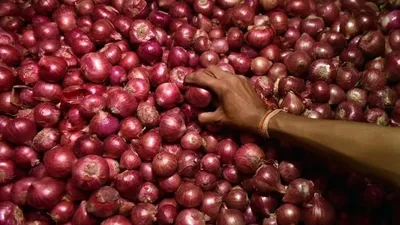 centre allows export of 99 150 mt onion to six countries including bangladesh and bhutan