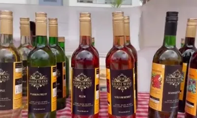 meghalaya government extends vat exemption on fruit wine to 10 years