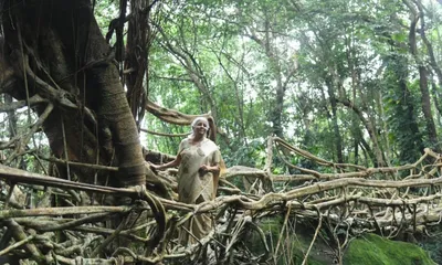 union finance minister praises meghalaya’s living root bridges  pushes for global recognition