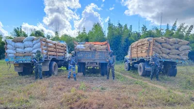manipur  betel nut smuggling attempt thwarted at indo myanmar border