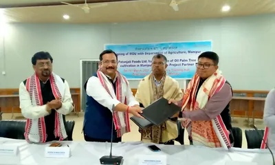 manipur partners with patanjali to boost oil palm cultivation