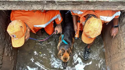 assam  body of 8 year old boy  who went missing after falling into guwahati drain  recovered