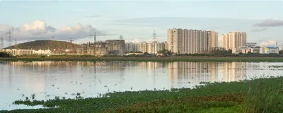 wetland loss threatens india s rich biodiversity