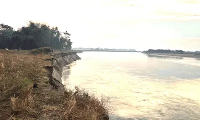 assam  lakhimpur s pub telahi hit by massive subansiri river erosion