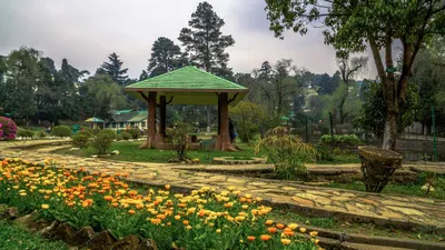 meghalaya  lady hydari park animals to move to new zoo by june