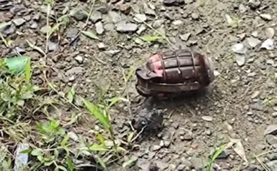 manipur  grenade found at doctor s residence in imphal