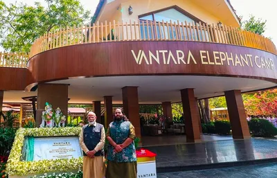 sc appointed sit gives clean chit to vantara