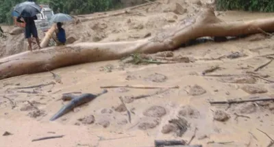 meghalaya excluded from central flood control projects  tura mp