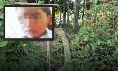 assam  4 year old boy dies after tree branch falls in sribhumi