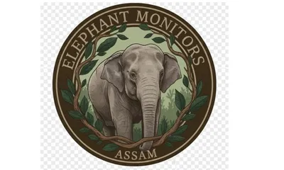 elephant monitors assam seeks action against  illegal  electric fencing