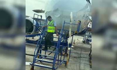 kolkata bound indigo flight makes emergency landing in nagpur after bird strike