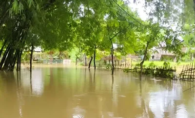 assam floods  youth swept away as sessa river submerges lakhimpur villages