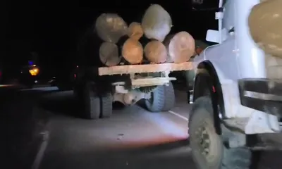 arunachal  student union intercepts 7 timber laden trucks  accuses forest officials of inaction