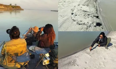 assam  kaziranga survey records 945 freshwater turtles along brahmaputra  flags critical habitats