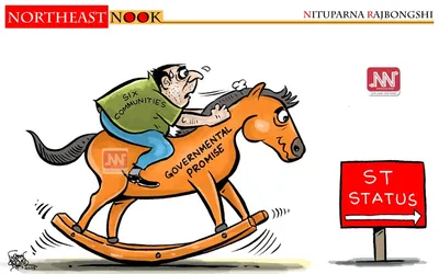 northeast nook  cartoon by nituparna rajbongshi  august 3  2025