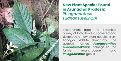 new plant species discovered in arunachal pradesh