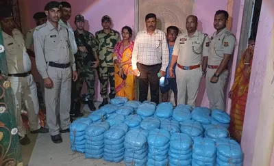 bsf seizes 168 kg ganja  nabs 3 bangladeshi nationals in tripura