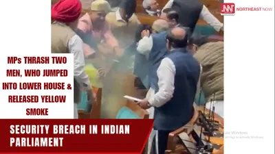 watch video   parliament security breach  mps thrash men who jumped into lok sabha  amp  released smoke