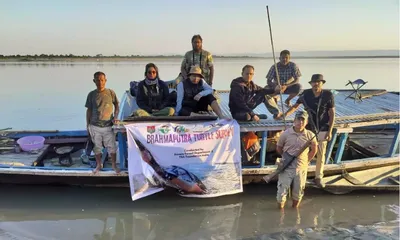 assam  945 freshwater turtles recorded along brahmaputra in kaziranga survey