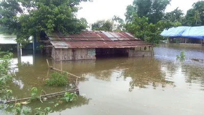 assam floods sans control or ‘disaster festival’ for some big   mighty