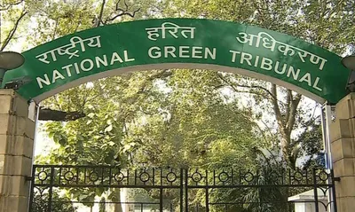 assam  ngt summons bajali district magistrate  ssp over inaction on illegal sand mining