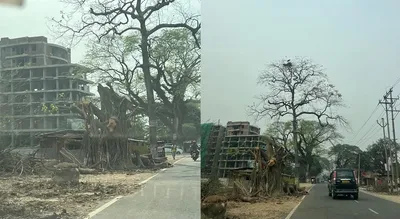 assam  guwahati s second worst ranked air quality globally fails to halt  massive tree felling for road project