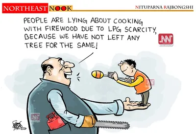 northeast nook  cartoon by nituparna rajbongshi  march 15  2026