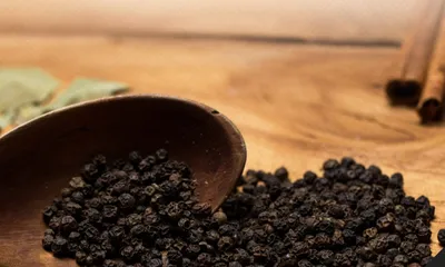 meghalaya to host first spice festival in mumbai to promote high quality spices