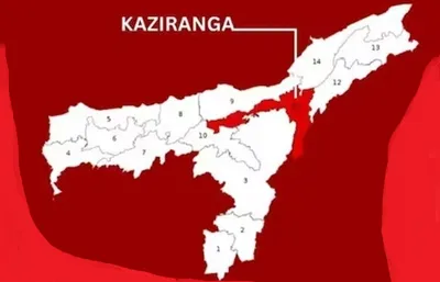 assam  kaziranga lok sabha constituency  key facts  past winners  and 2019 election results