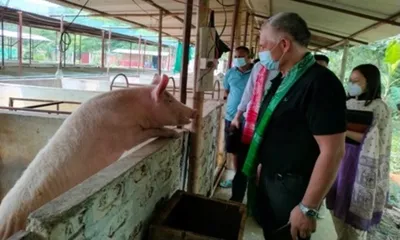 assam  how btr s pig mission empowering tribal farmers and youth