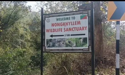 meghalaya  hyc opposes eco tourism project in nongkhyllem wildlife sanctuary