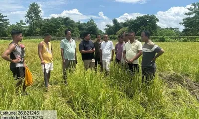 assam  elephant rampage worsens farmers’ woes in jorhat’s rural belt  ado visits affected areas