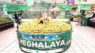 meghalaya  khasi mandarin makes a delicious debut in dubai