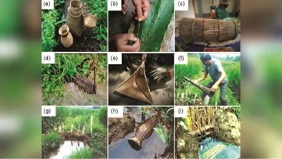 meghalaya  traditional khasi fishing techniques could solve fish deficit  study finds