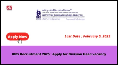 ibps recruitment 2025   apply for division head vacancy