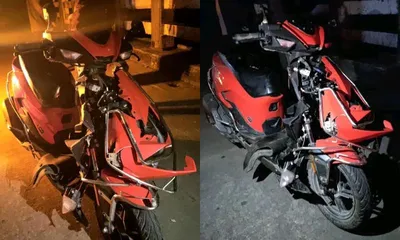 assam  wild elephant herd attacks scooter in tinsukia  two girls narrowly survive